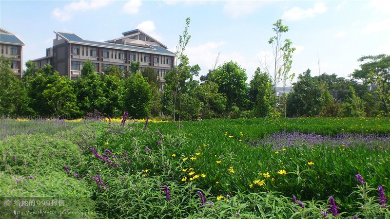 我们最美丽的云南师范大学之新绿篇-萌哒校园