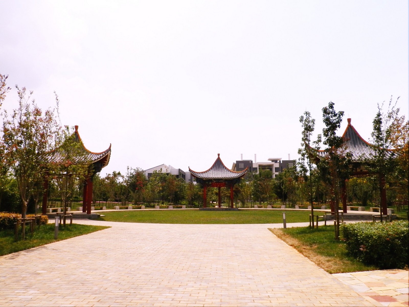 我们最美丽的云南师范大学之回忆篇-萌哒校园